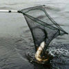 Рыбалка в Ивенском разливе (Фото № 2)
