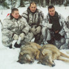 Охота на волка (Фото № 2)